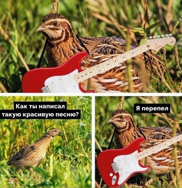 ������-�����