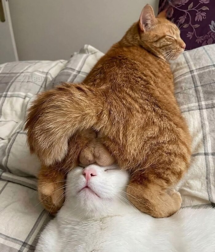 �����