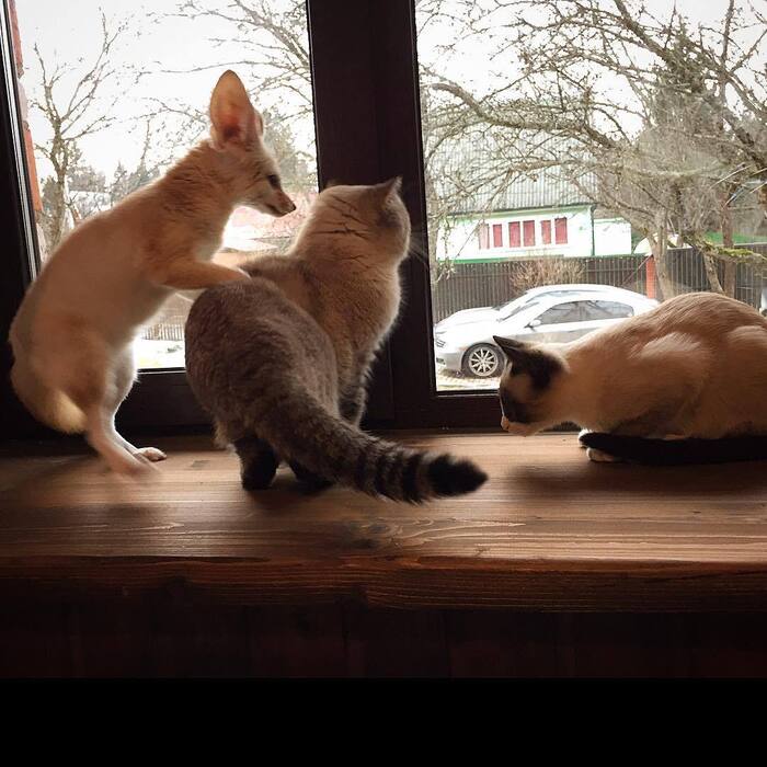 ����� � ����� - ������ �����