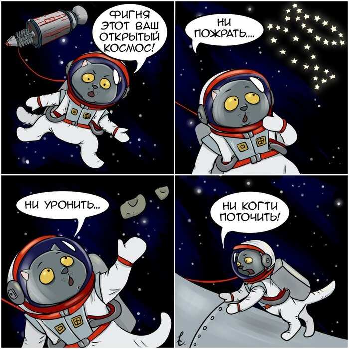 ���� - ����������� ���, �17: ������