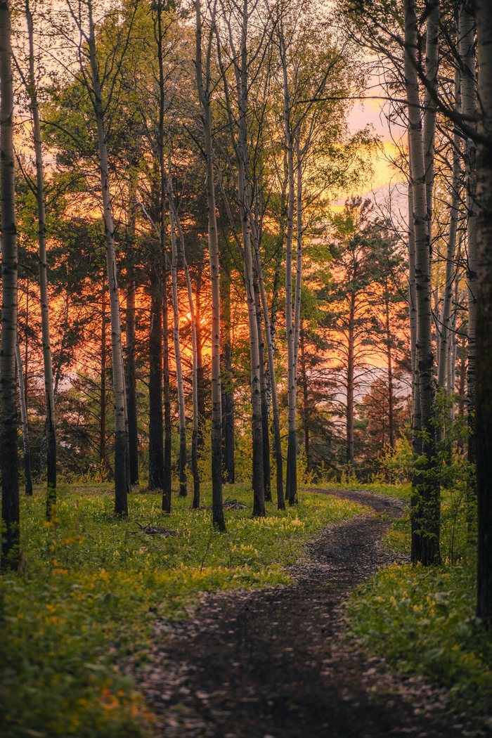 �����, ����� ������ ����. Sony a7m3 + Viltrox 85mm/1.8