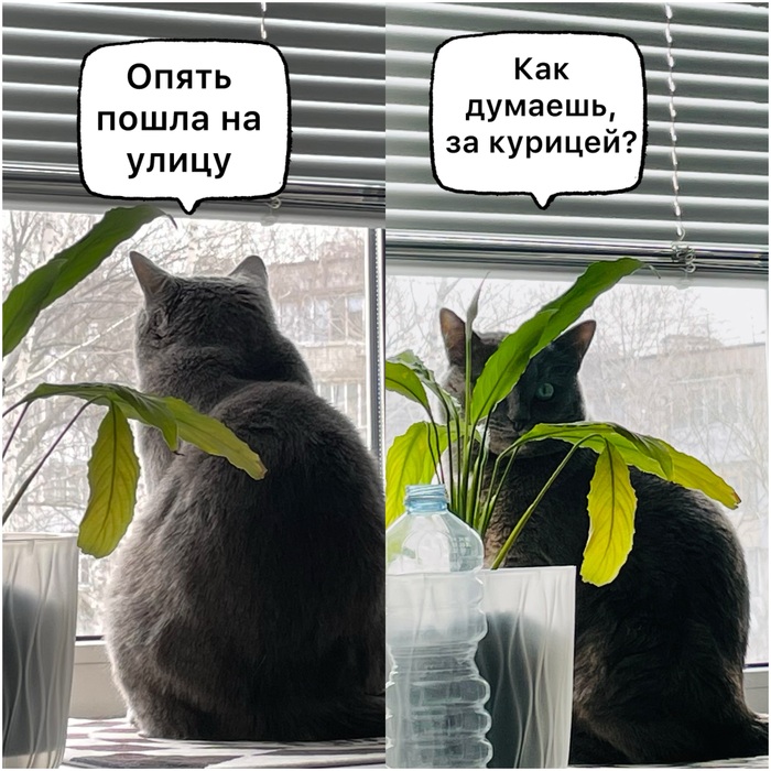 � ��� ���� ��� �������� �� ���� ��������?