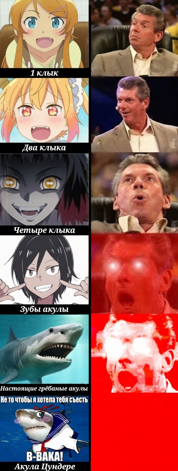 ���������� ���� 