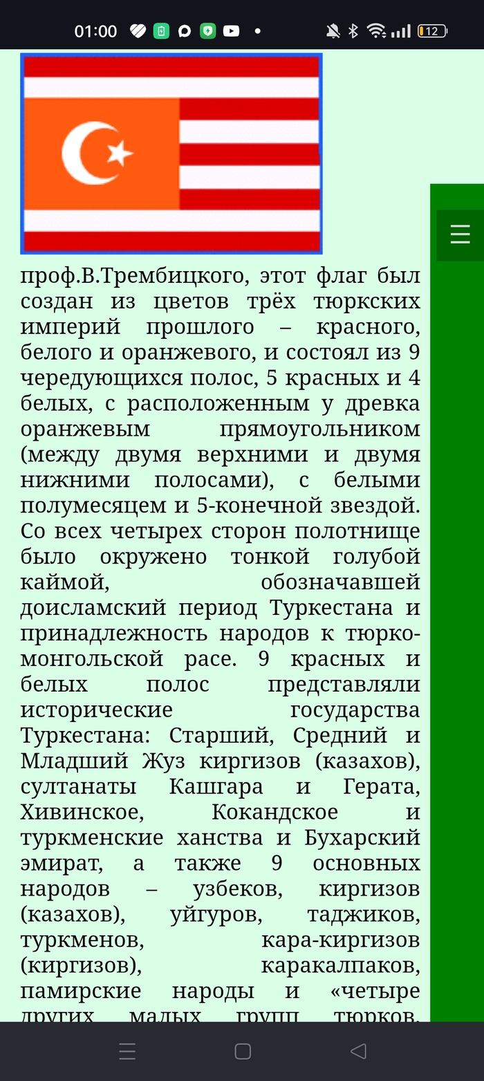 Флаг туркестана 2