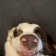 ����� ����� ������ ���� �����������