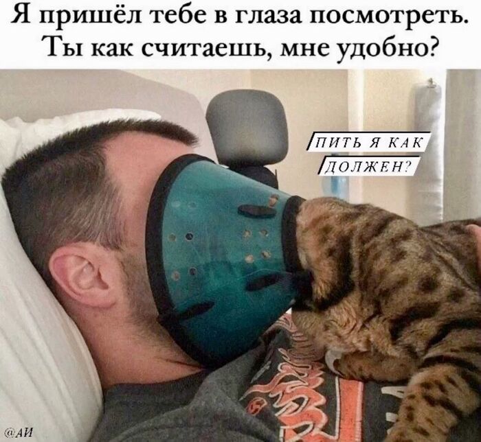 ���� �� ������ ����� �������������))))
