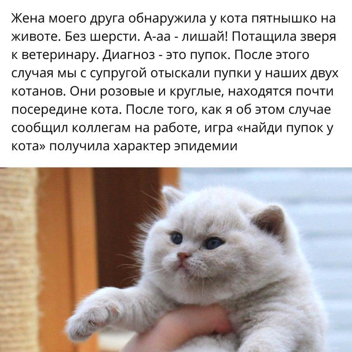 ����� ����� � ��������