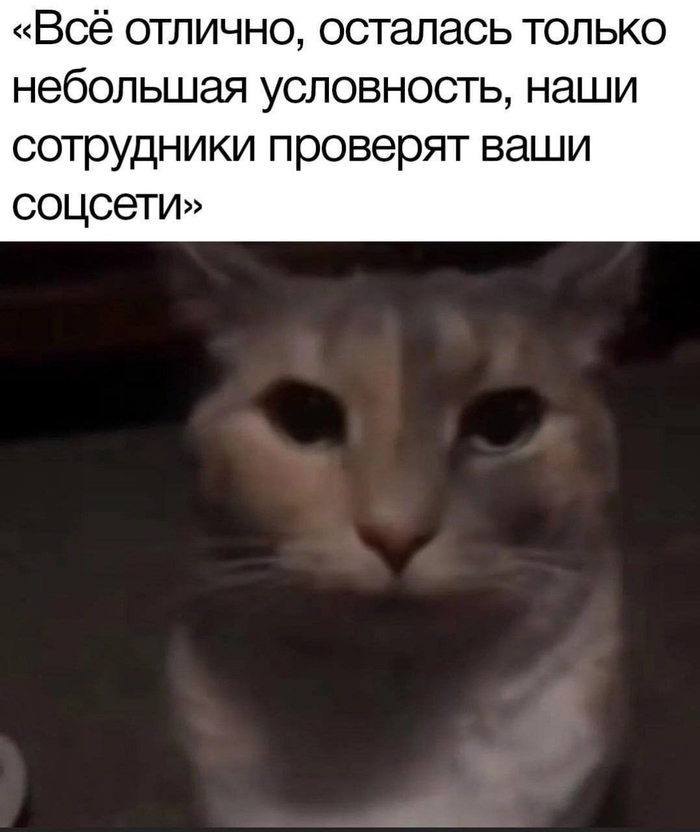 ��� �������
