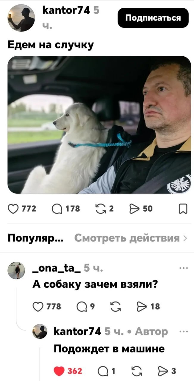 ��, �������