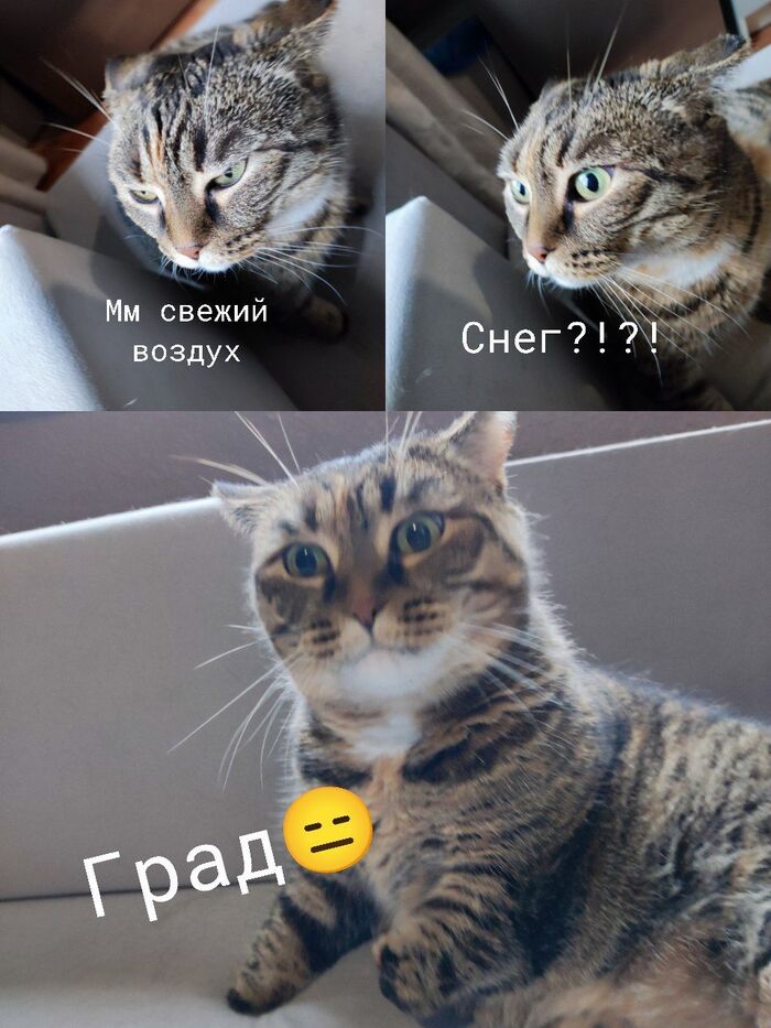 ������ ���� �� ����� ����