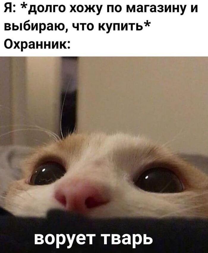 Да не отличить, кто ворует а кто нет