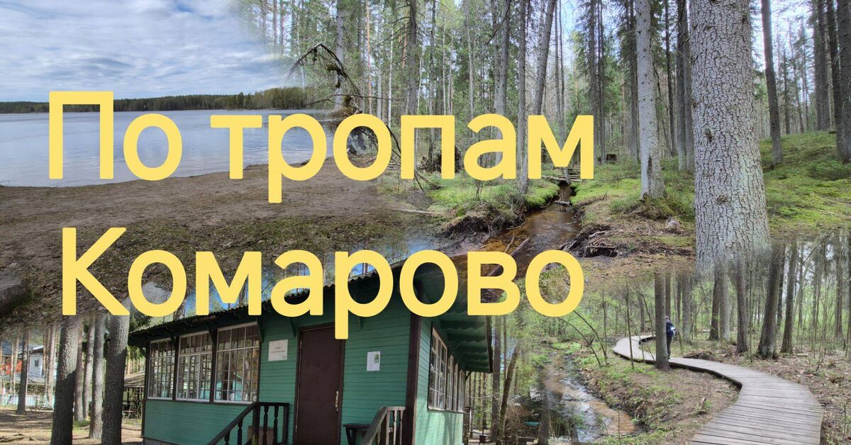 Along the paths of Komarovo - My, Tracking, Komarovo, Video, Rutube