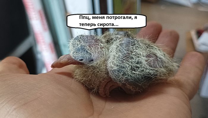 ����� �� ���� ����� ����������, ��� ����������� �������� � �������