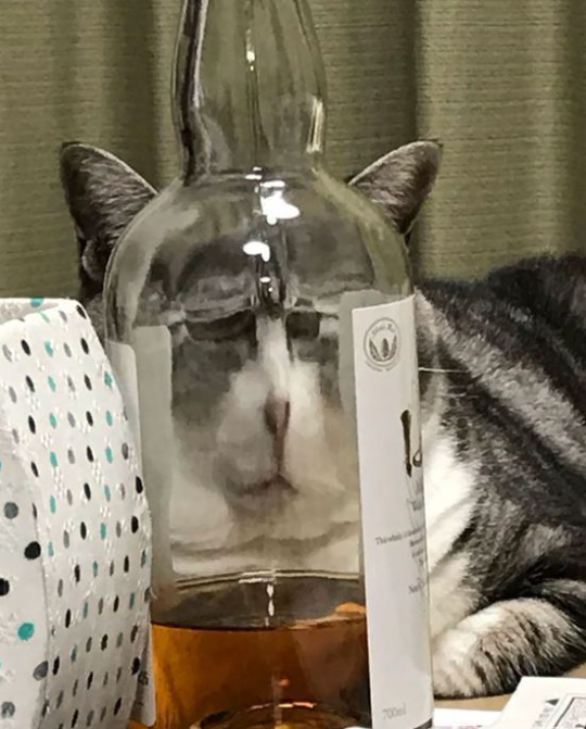 �������������