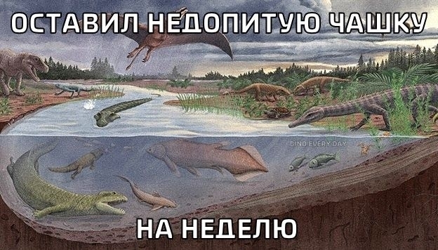 DED