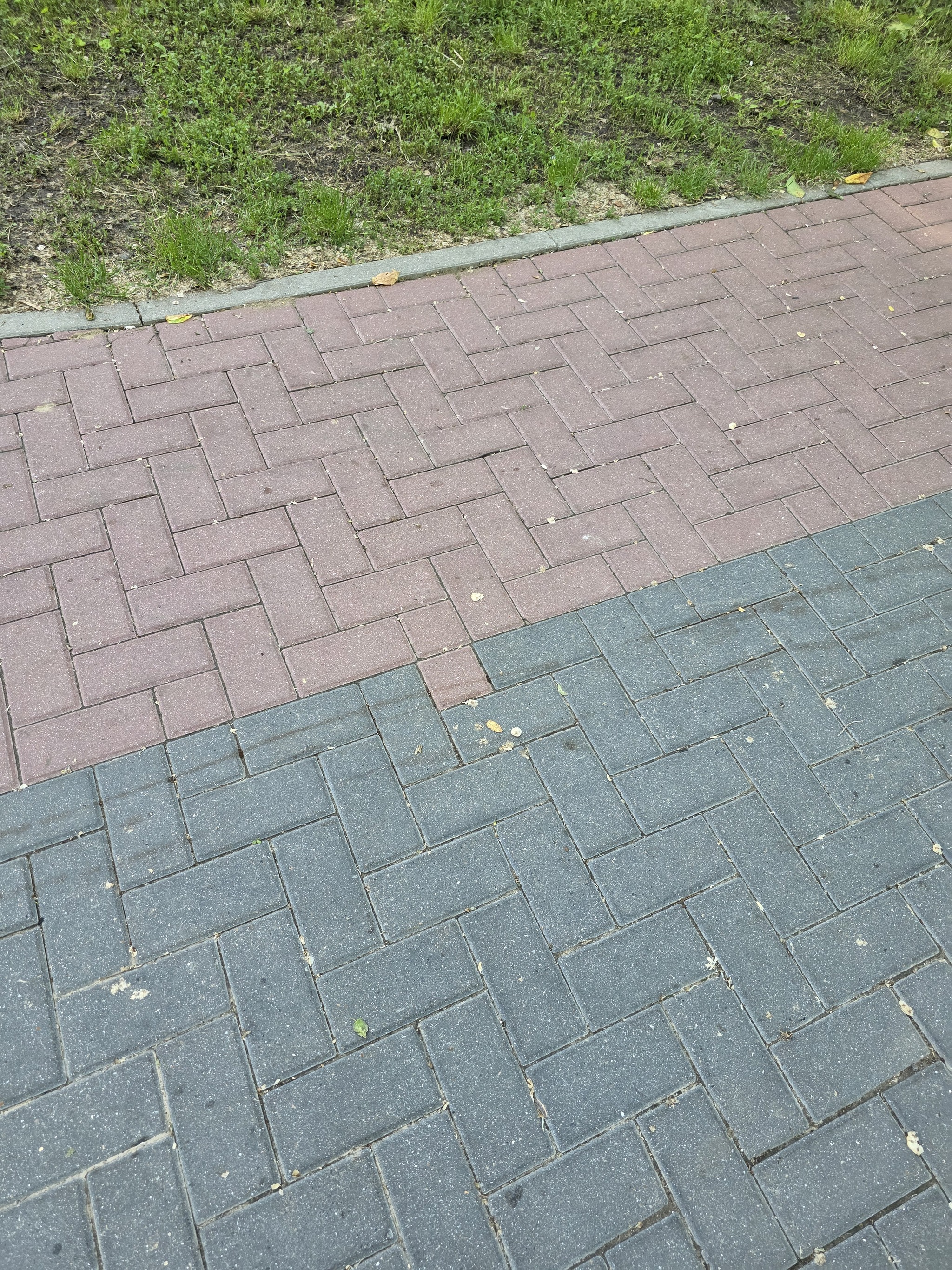 Посвящается перфекционистам :) - Моё, Юмор, Тротуарная плитка, Дорожка, Перфекционизм, Рукожоп
