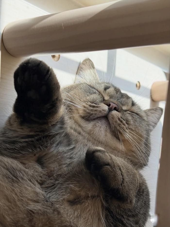 ��� ���