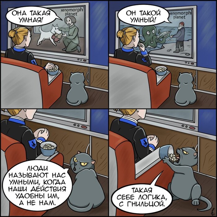 ���� - ����������� ���, �18: �� ����������