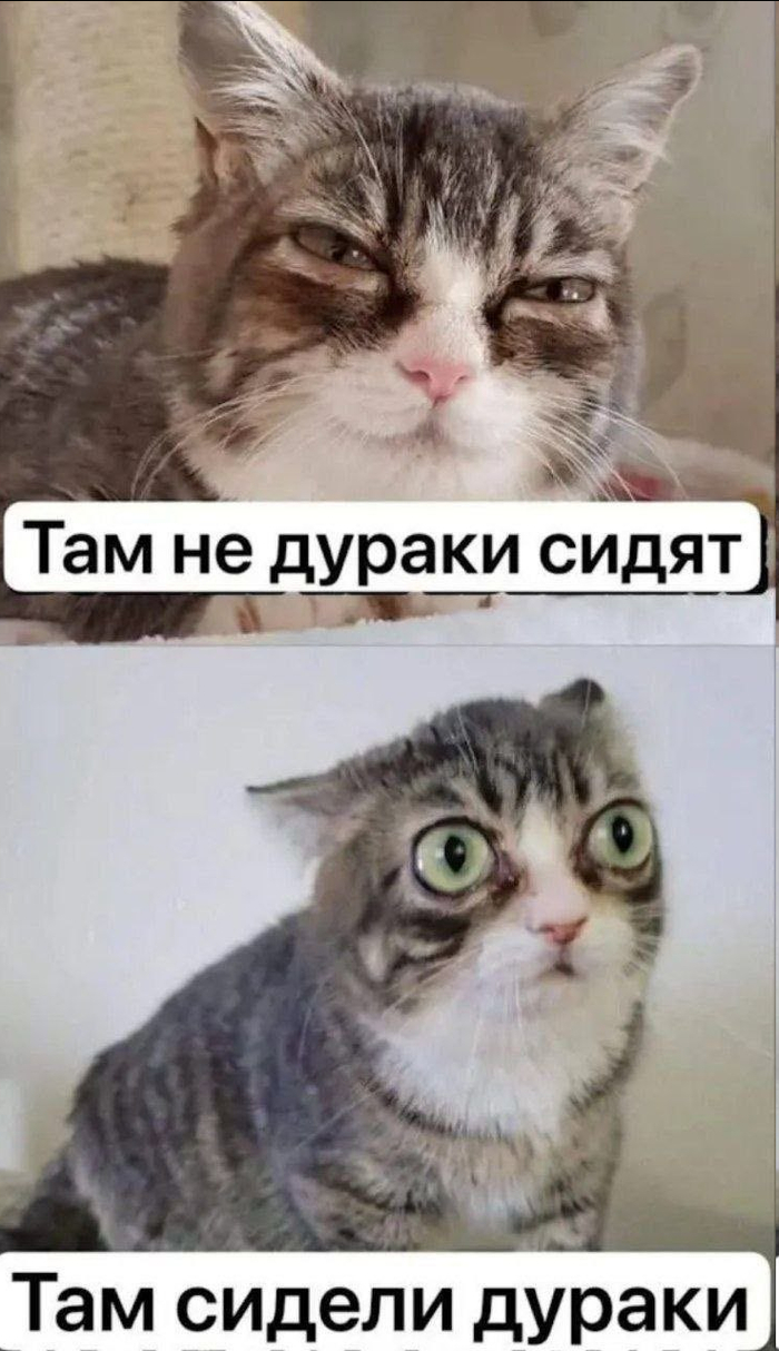 �� ��� �����