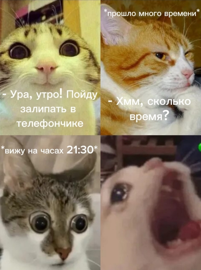 ��� �����