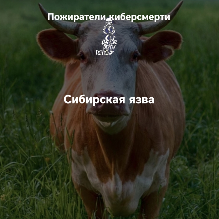Сибирская язва