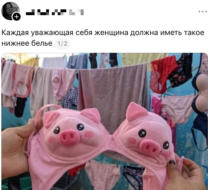 ����, ���������