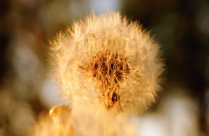 sony a 57 18-55.