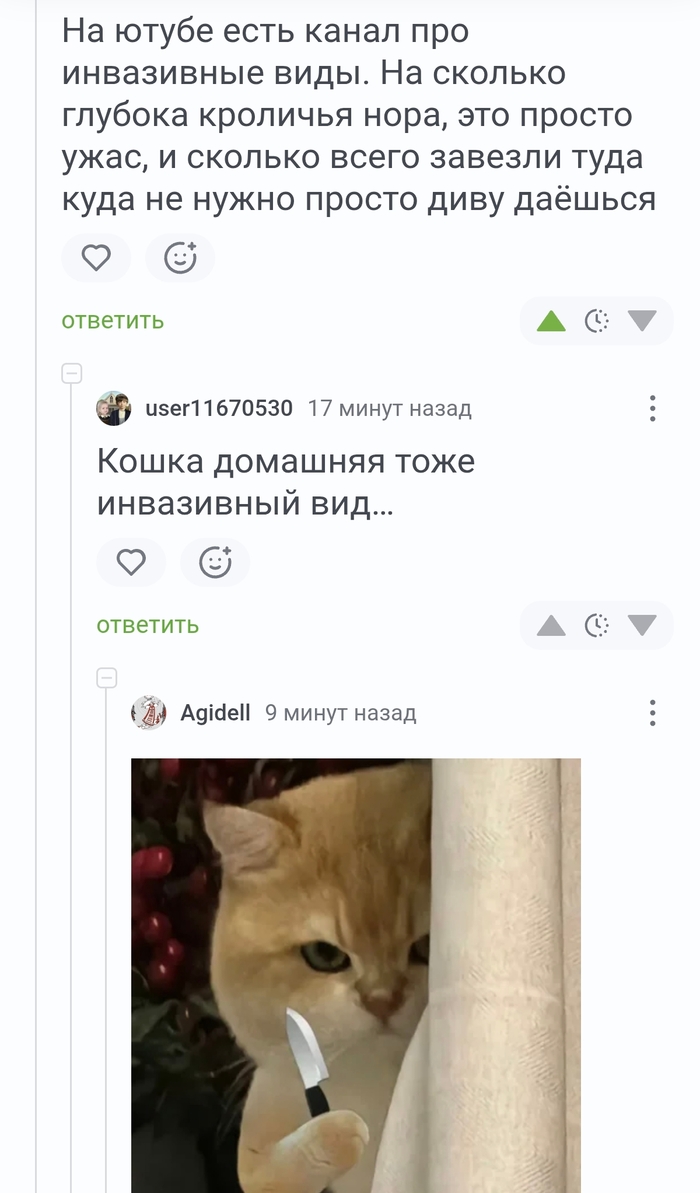 ���������� ���