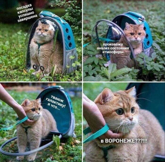 Навигатор обманул