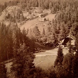 Zinetta