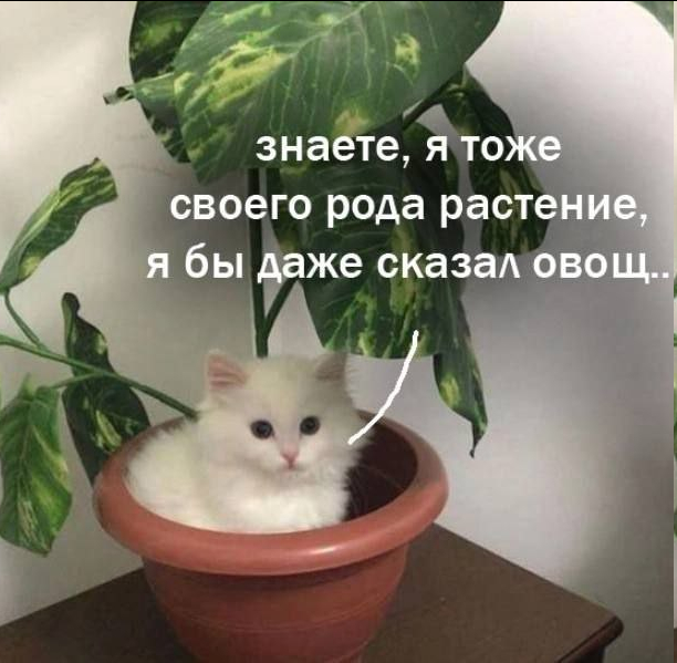 � ���