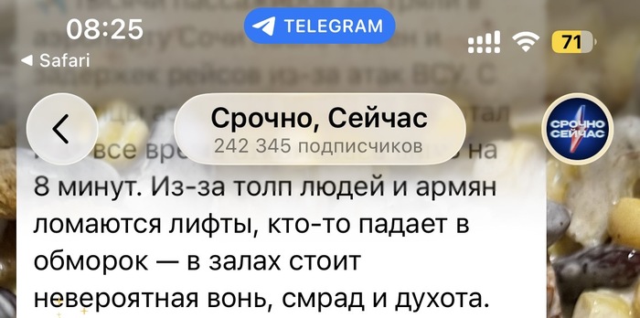�����, �������, �����!