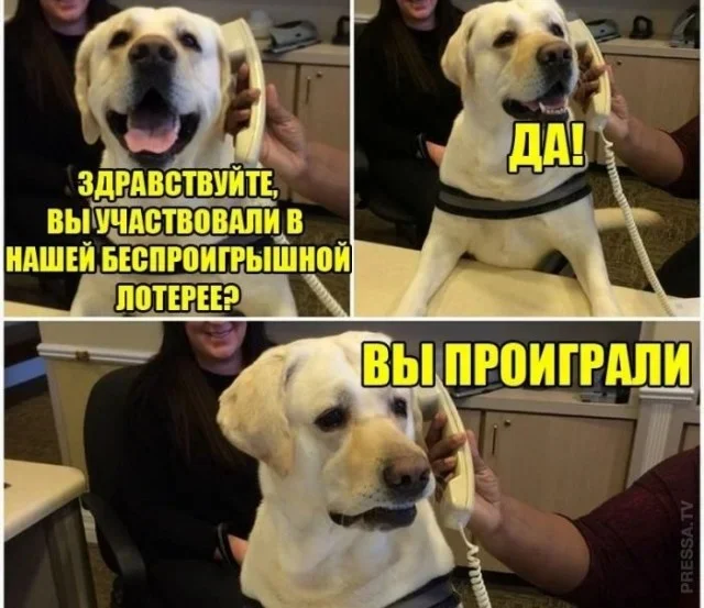 4excplge.webp