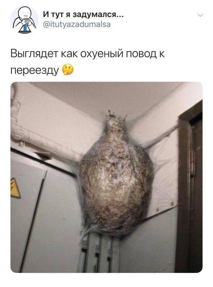 ������ ��� �� ��������