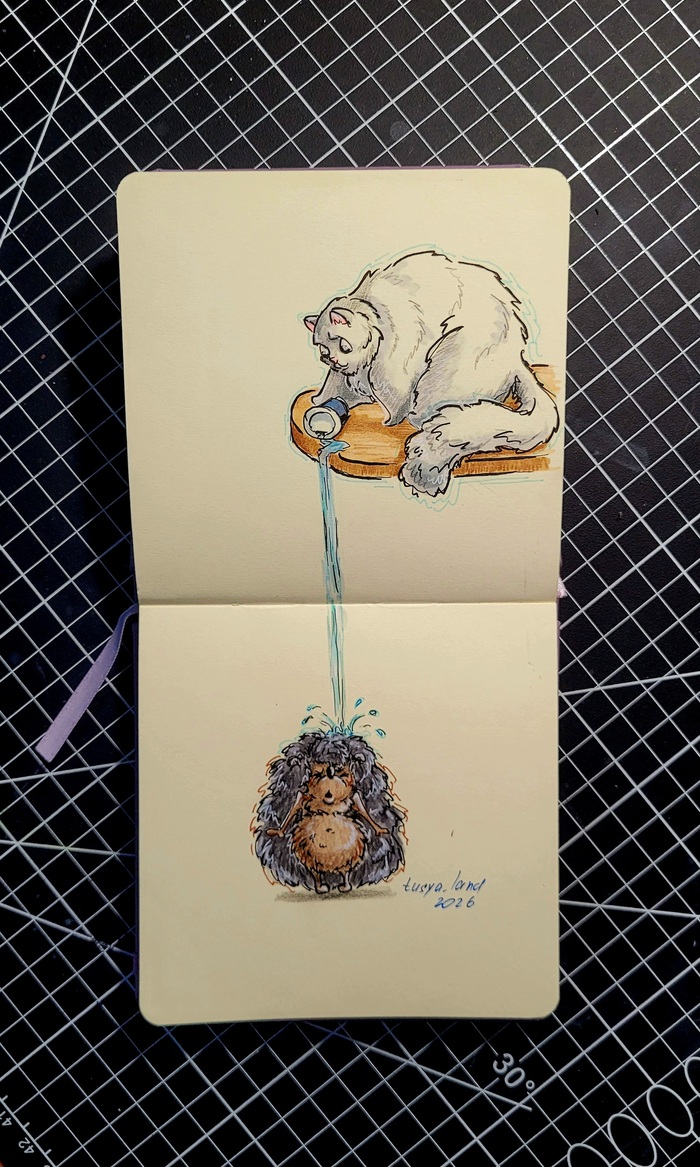 ��� ���� �����
