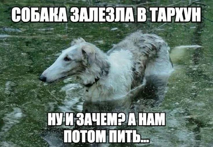�������, ��� �� ������