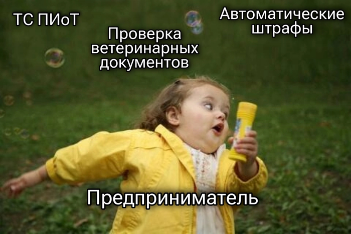 Новые товары, сроки и штрафы — что изменится в системе маркировки в ближайшее время - 16.06.26 12:31 2