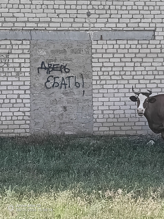 Сельское граффити