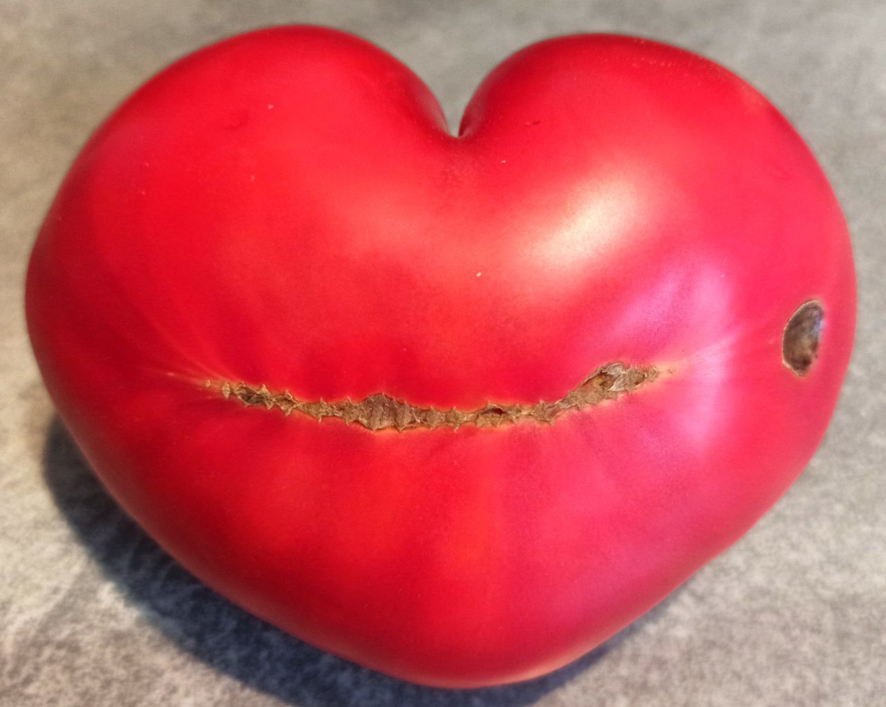 Post 14055537 - My, Congratulation, Investing in stocks, Wish, Financial literacy, Stock market, Tomatoes, Love, A life, Stock exchange, Investments, Passive income, Wealth, Trading, Vegetables, Garden, Dacha