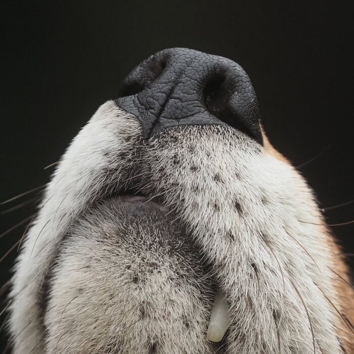 ���