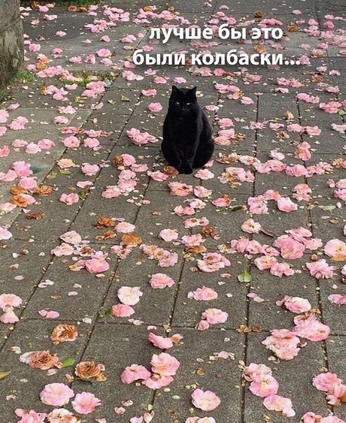 Вареные