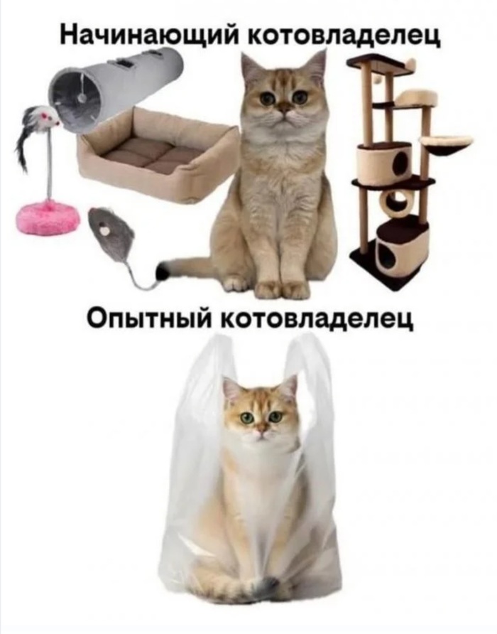 ����� �� ���� ����� ������� ���� � �������� ����������!�
