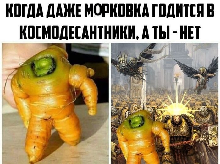 ����� ���� ����������. ������ �� �������� � ����� ������� ������� � �������� �� ������� �����