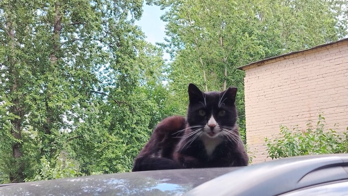 Папанин сменил тачилу...