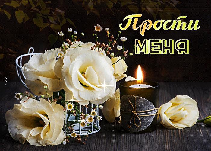 Прости меня, пожалуйста…