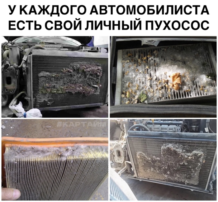 Пухосос