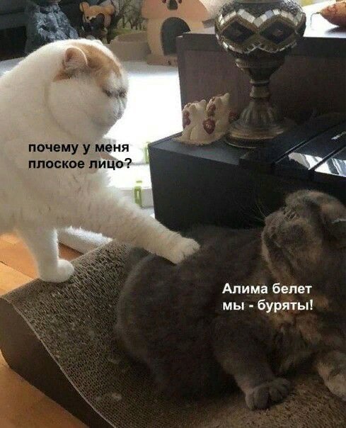 Рандом #93287457