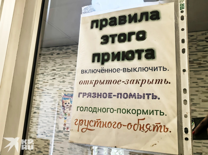 ������� ������� ������ - ������ � ����� �������. ����: ���� ���������