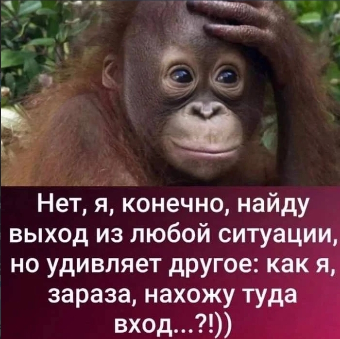 ����� �� ����� ��������