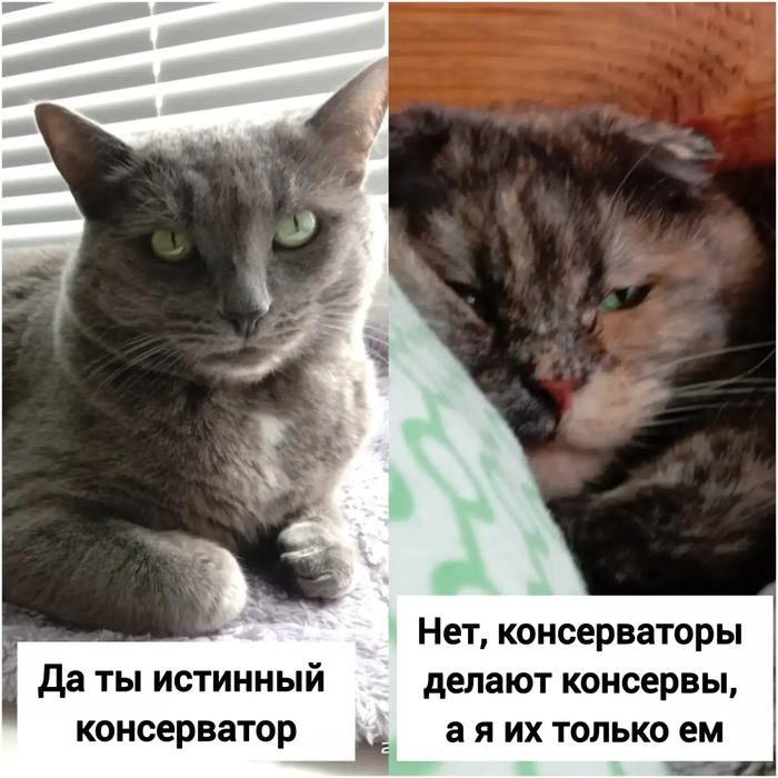 ������-�� �� �� ���������